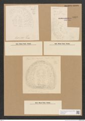 Diatomeae indet. Zeichnungen Sammlung Grunow Nr. 5066 (NHMW-BOT-W0373334)